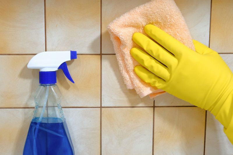 Products For Mexican Tile Cleanings in use