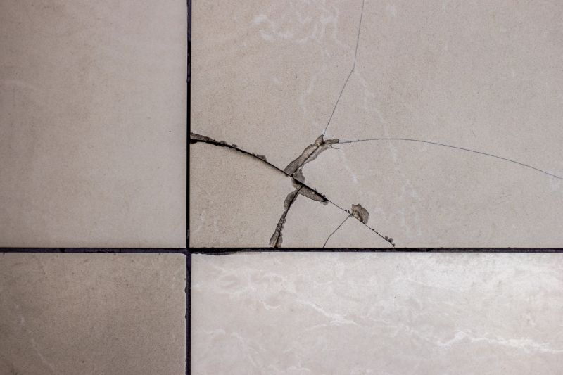 Professional Tile Restoration